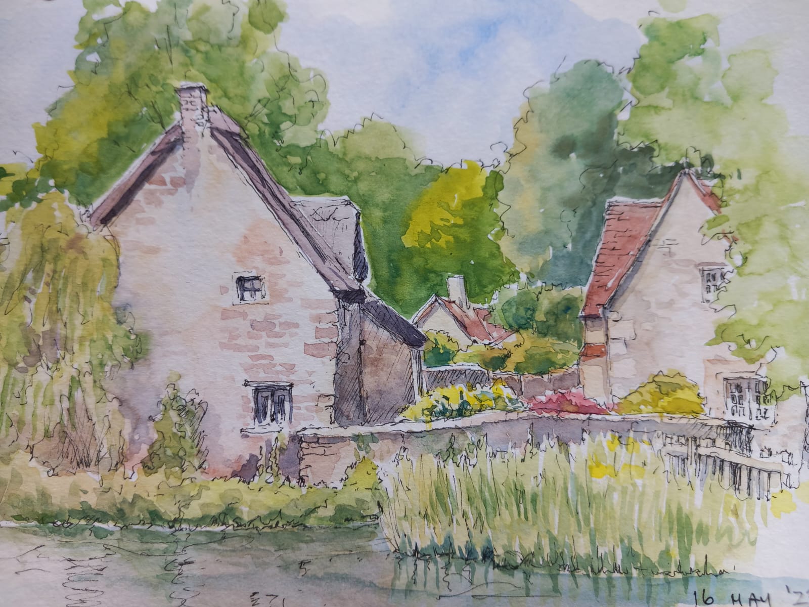 Shelagh Ashley Exmoor National Park