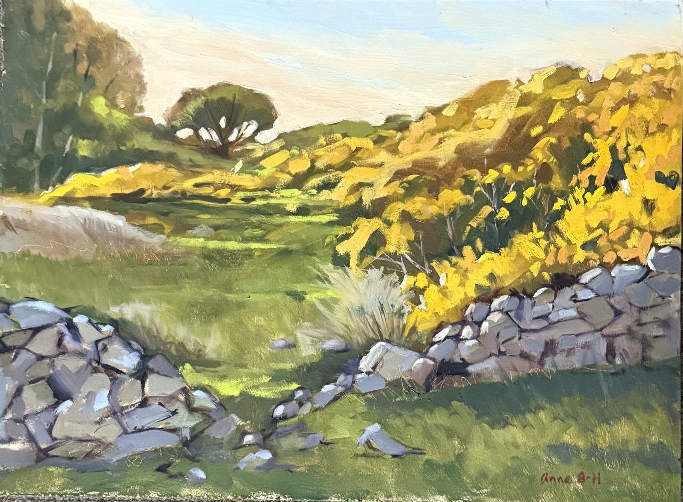 Anne Blankson Hemans Peak District