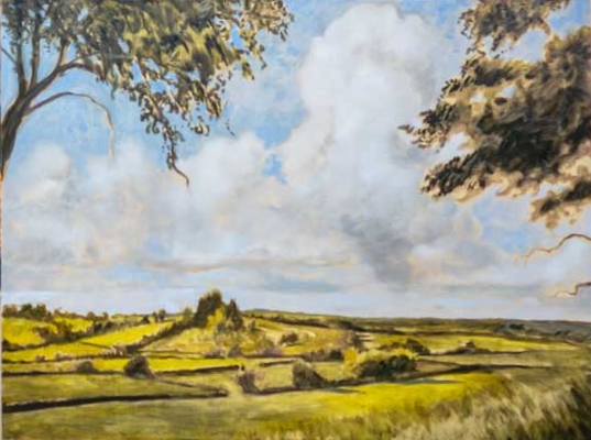 Finn Campbell Notman Dartmoor National Park